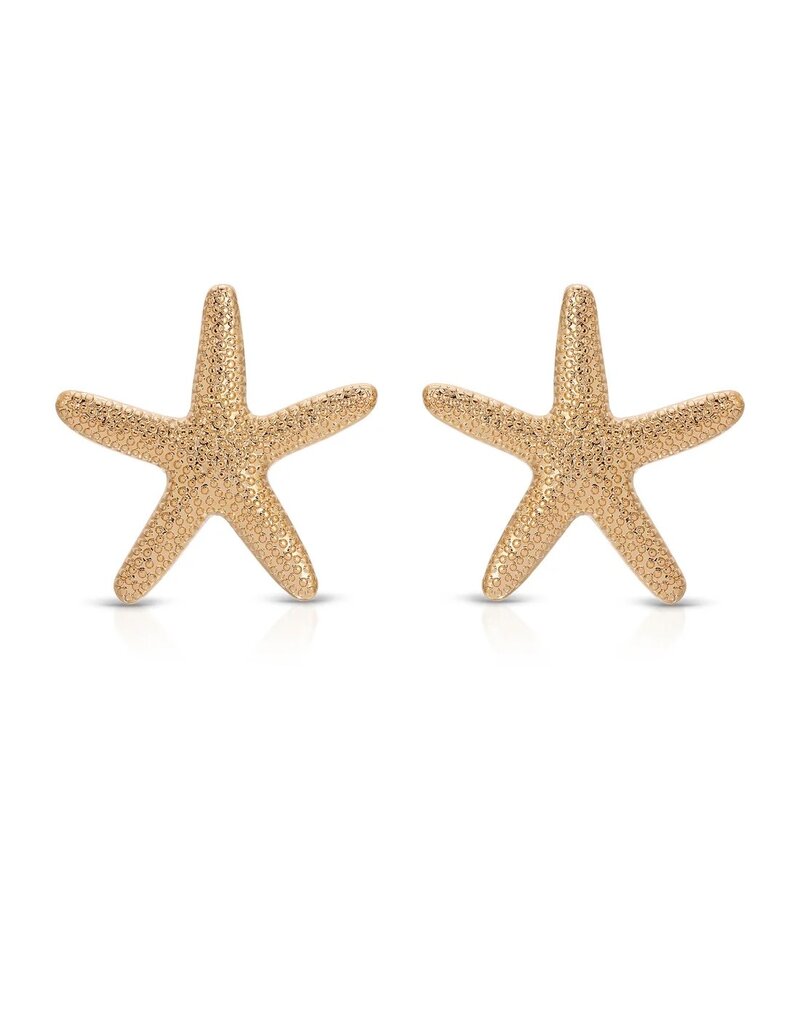 Statement Starfish Stud Earrings G