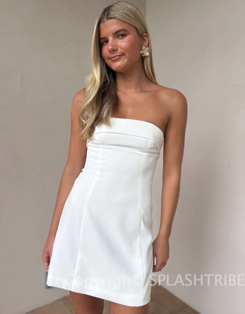 Strapless Structured Bow Back Mini Dress