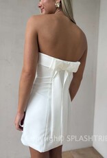 Strapless Structured Bow Back Mini Dress