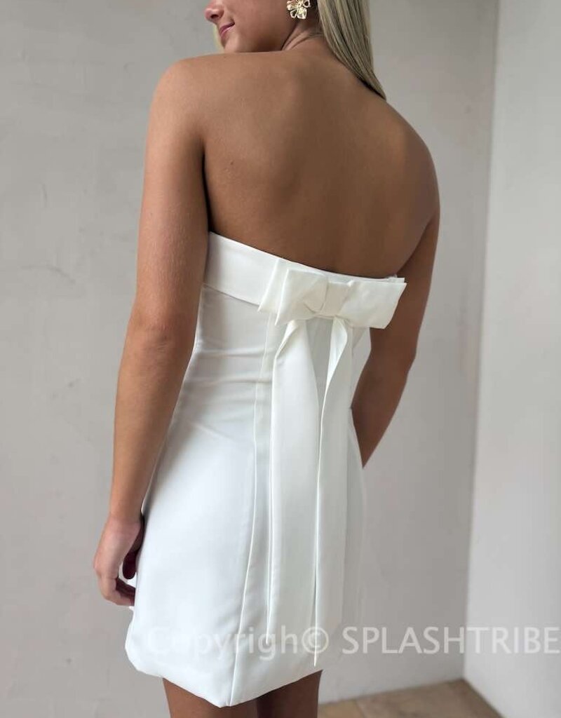 Strapless Structured Bow Back Mini Dress