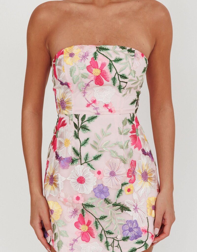 Jardin Strapless Embroidered Floral Mini Dress