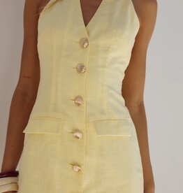 Halzie Mini Dress