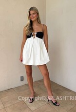 Nicolette Mini Dress