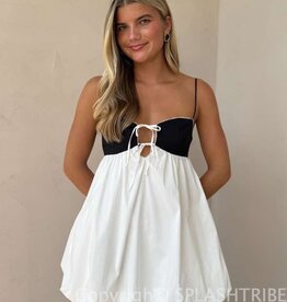 Nicolette Mini Dress