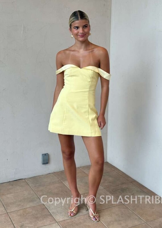 Ebony Mini Dress