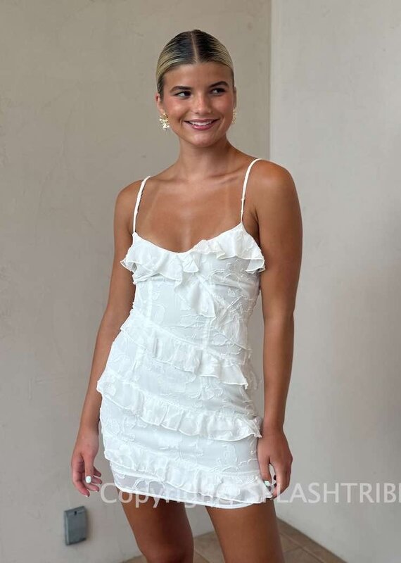 Aisha Mini Dress