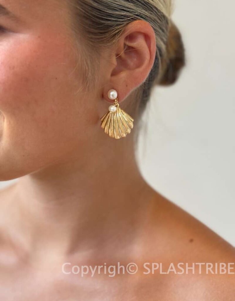 Scallop Shell and Pearl Earrings G