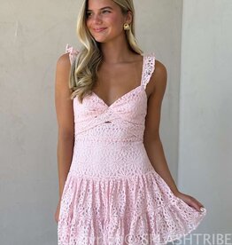 Bree Lace Tie Back Mini Dress