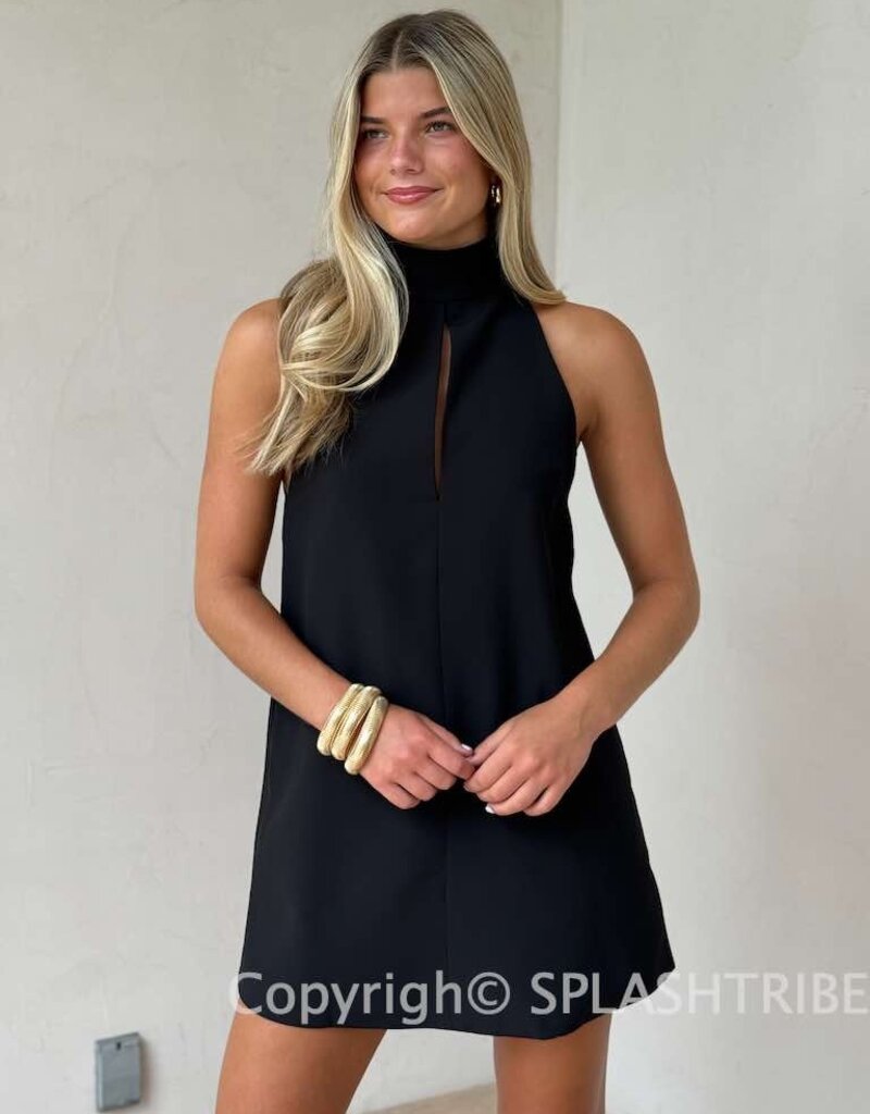 High Neck Sleeveless Mini Dress