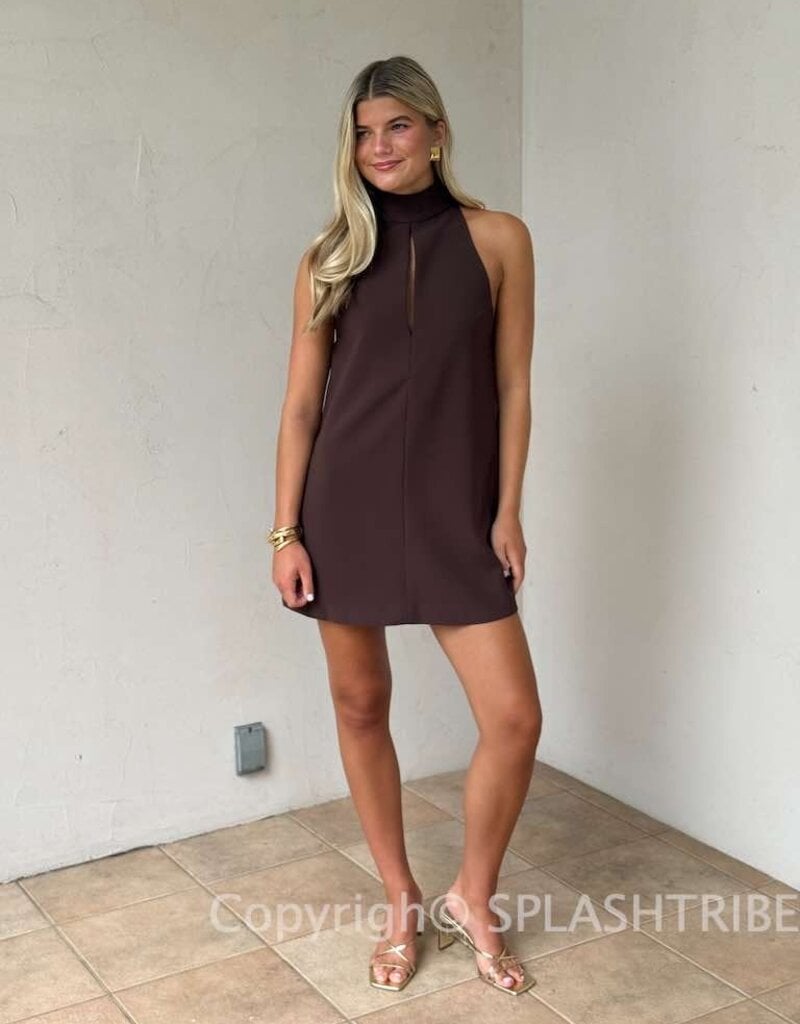 High Neck Sleeveless Mini Dress