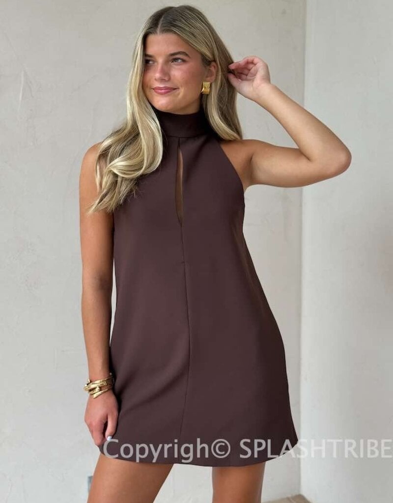 High Neck Sleeveless Mini Dress