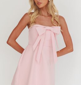 Dunn Strapless Bow Front Mini Dress