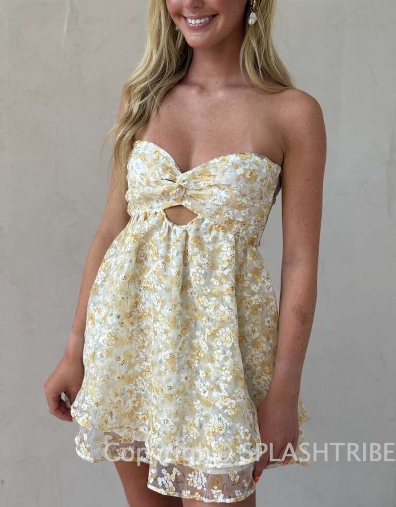 Lucy In The Sky Floral Shimmer Cutout Babydoll Mini Dress