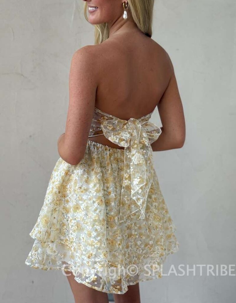 Lucy In The Sky Floral Shimmer Cutout Babydoll Mini Dress