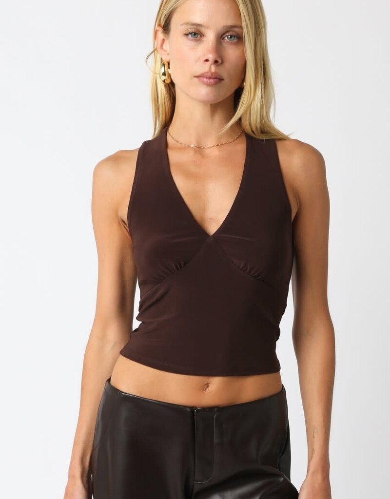 Sleeveless V Neck Crop Top