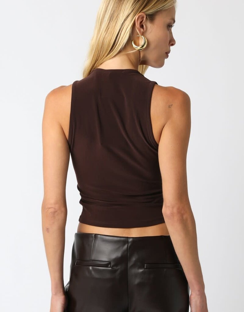 Sleeveless V Neck Crop Top