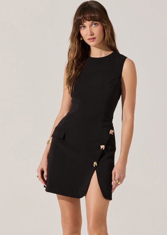 ASTR Nixie Mini Dress