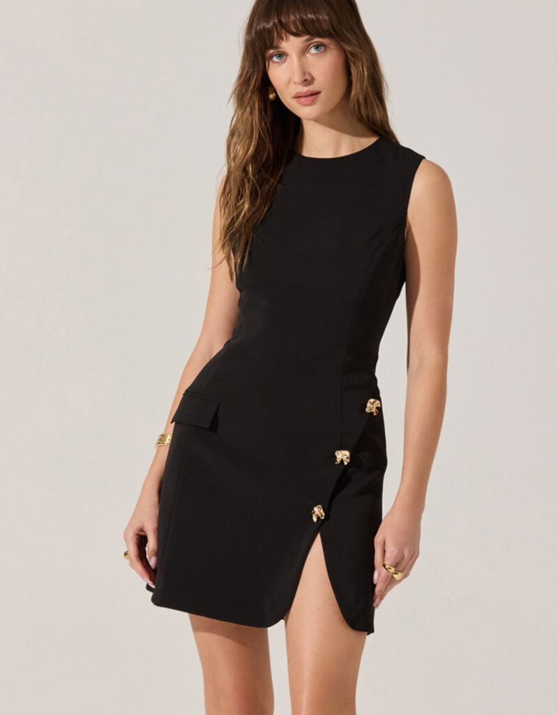 ASTR Nixie Mini Dress