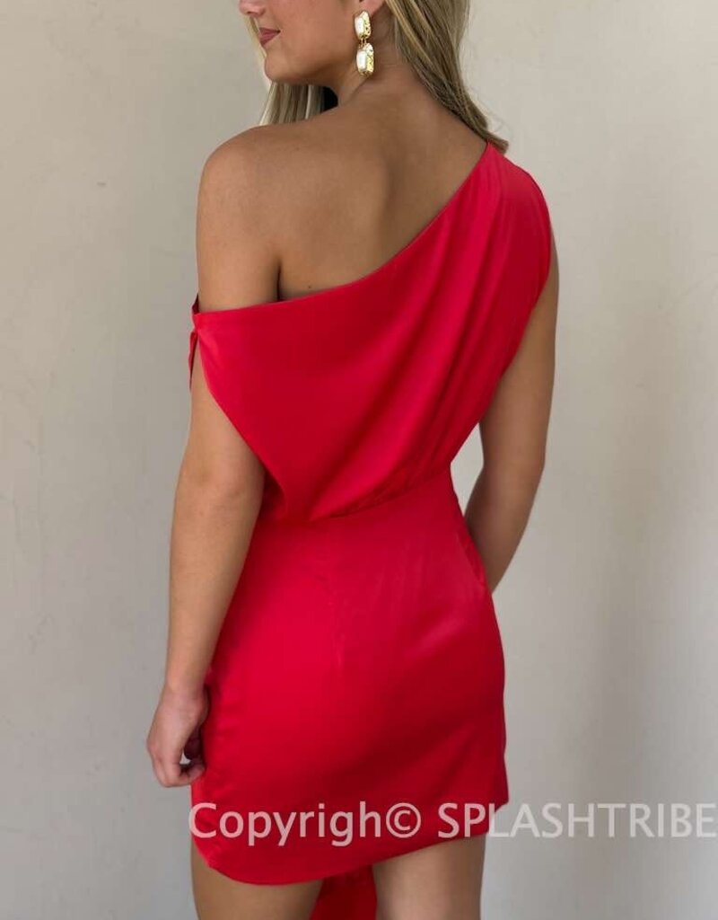 Charisma Mini Dress