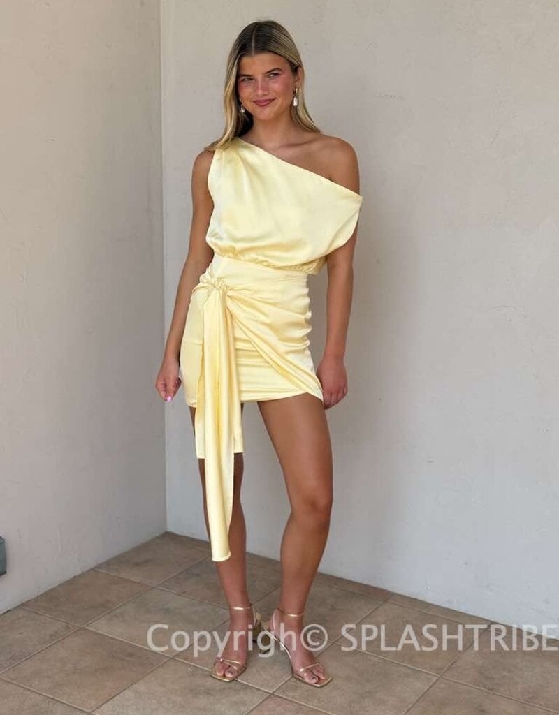 Charisma Mini Dress