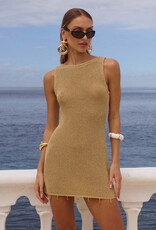 Ariya Sleeveless Mini Dress