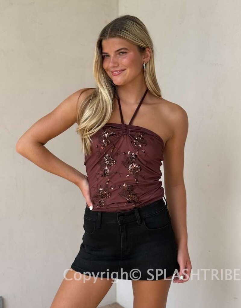 Mesh Sequin Strapless Embroidered Top