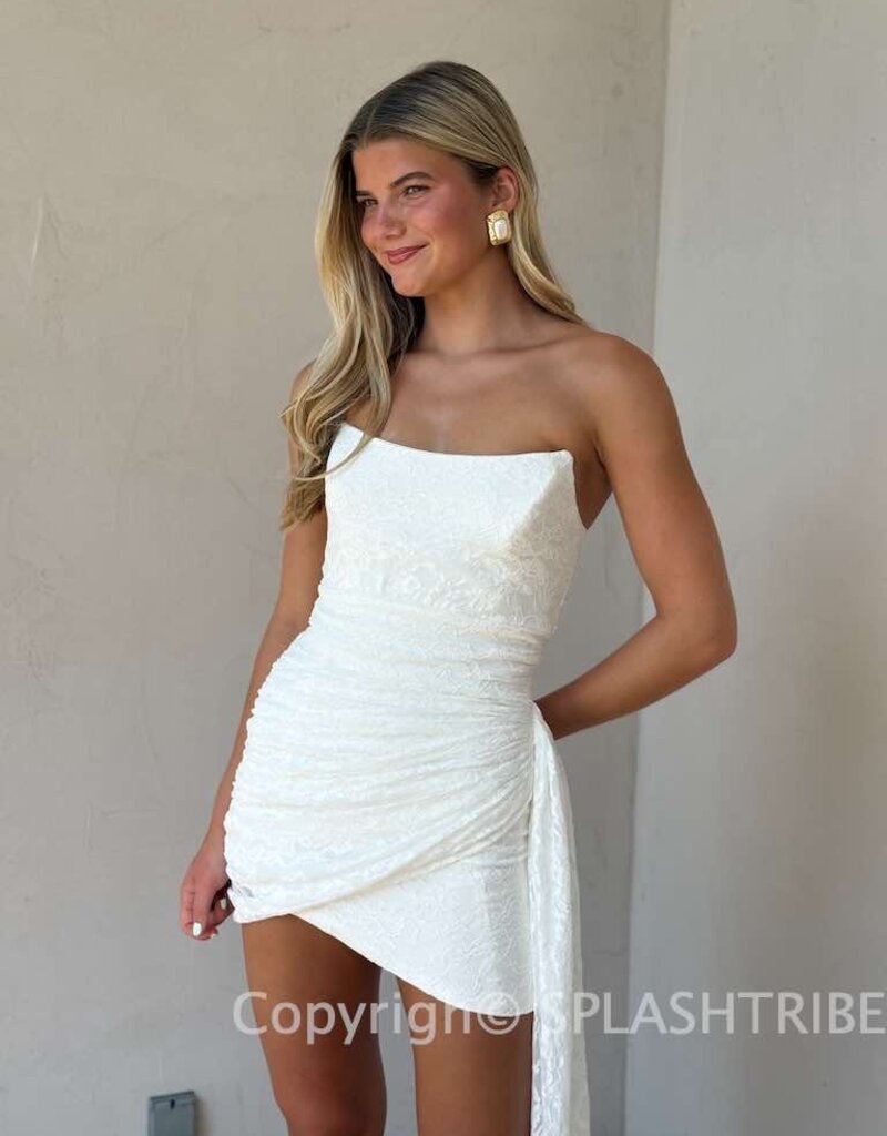 Lacey Mini Dress