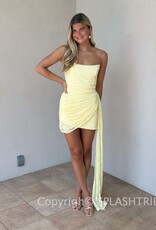 Lacey Mini Dress