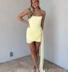 Lacey Mini Dress