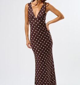 Mesh Polka Dot Maxi Dress