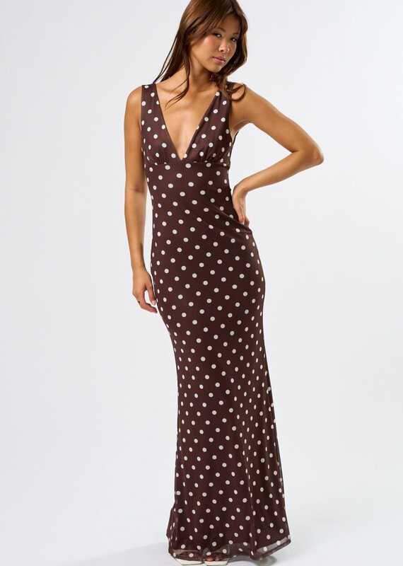 Mesh Polka Dot Maxi Dress