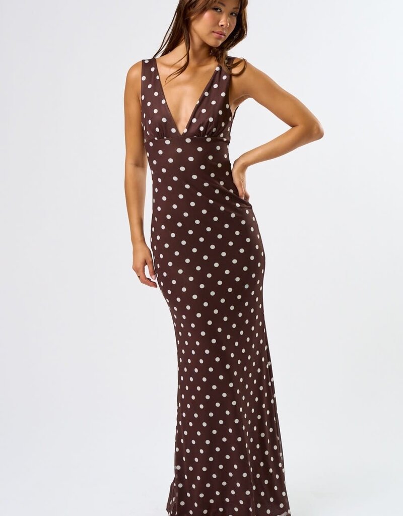 Mesh Polka Dot Maxi Dress