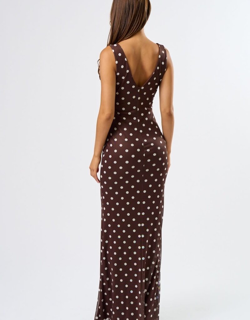 Mesh Polka Dot Maxi Dress