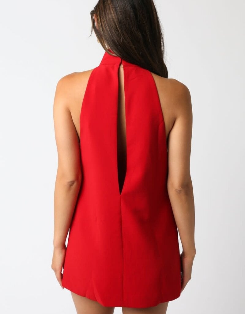 High Neck Sleeveless Mini Dress