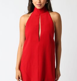 High Neck Sleeveless Mini Dress
