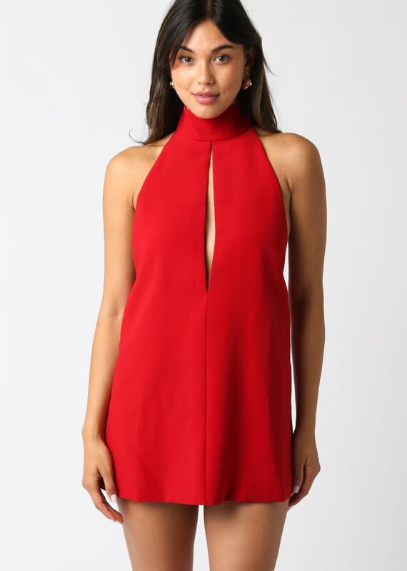 High Neck Sleeveless Mini Dress