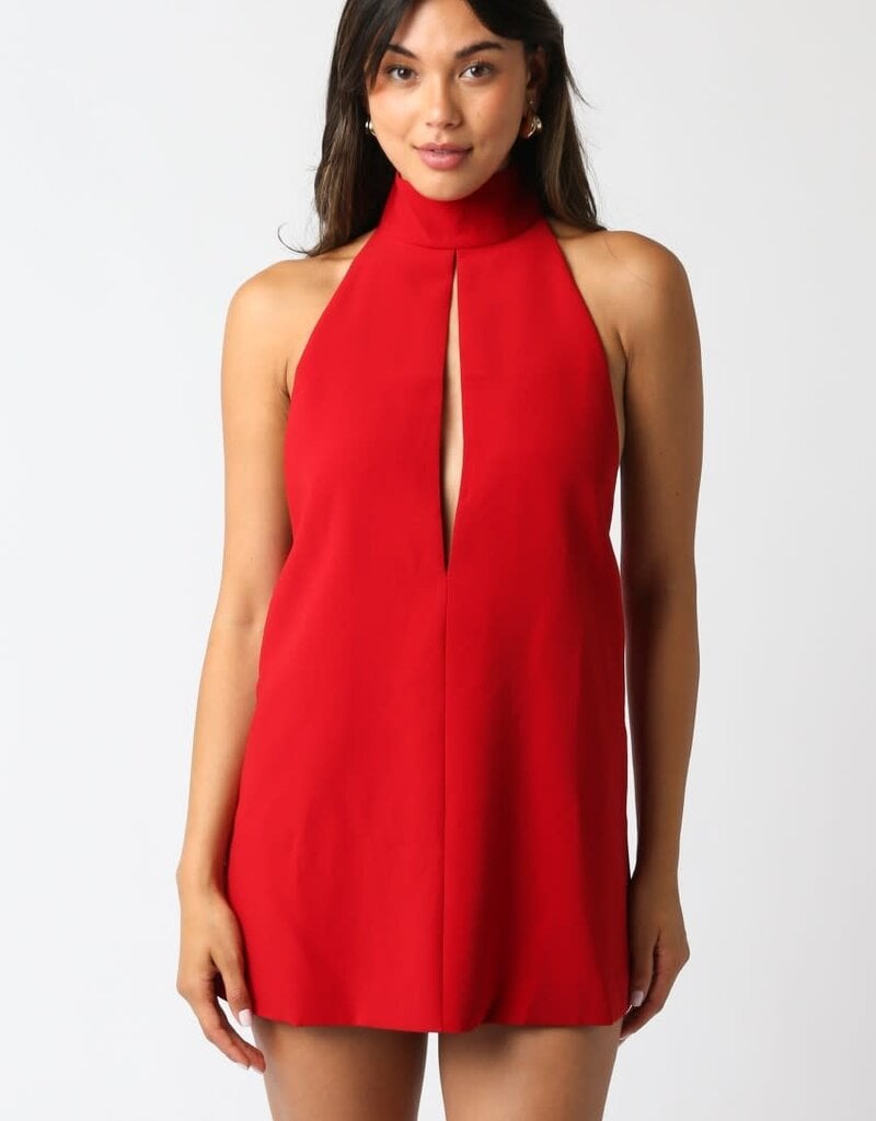 High Neck Sleeveless Mini Dress