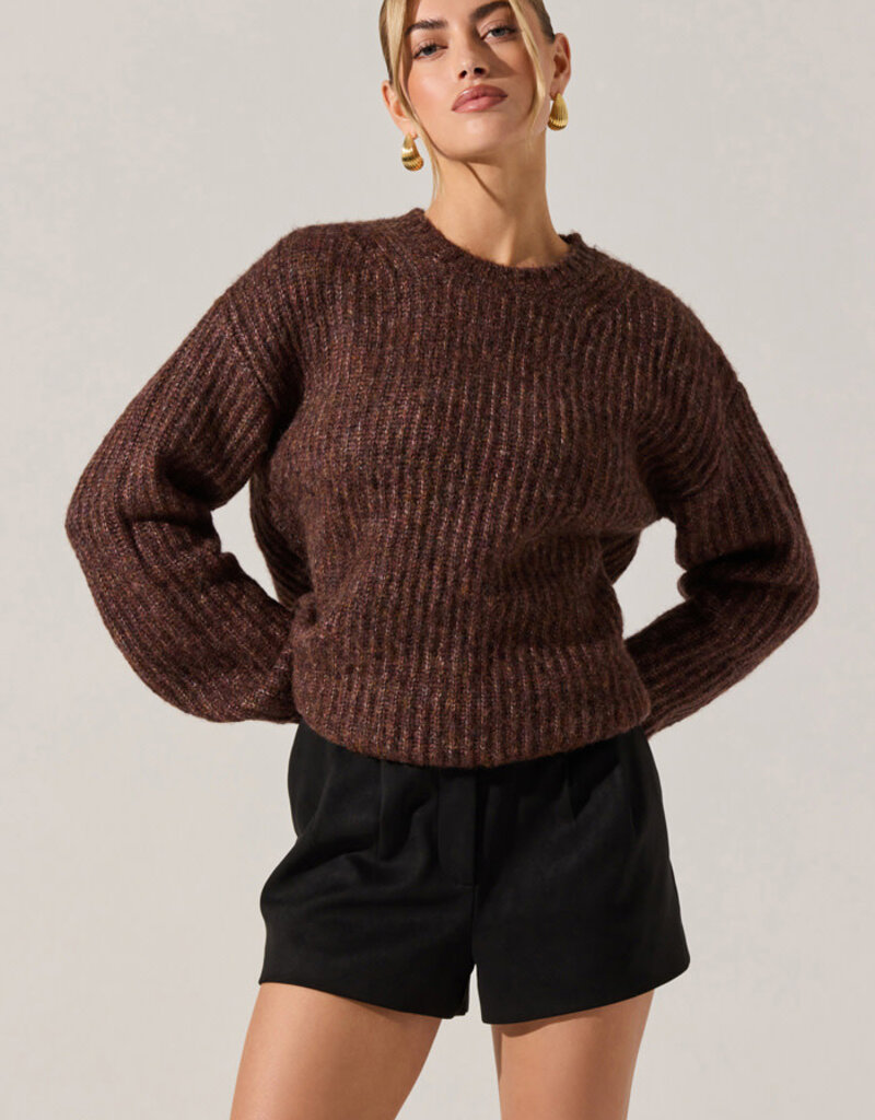 ASTR Jude Faux Suede Shorts