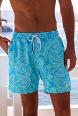 Kulani Kinis Men's Swim Trunks