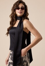 Satin Tube Top With Attached Neck Scarf