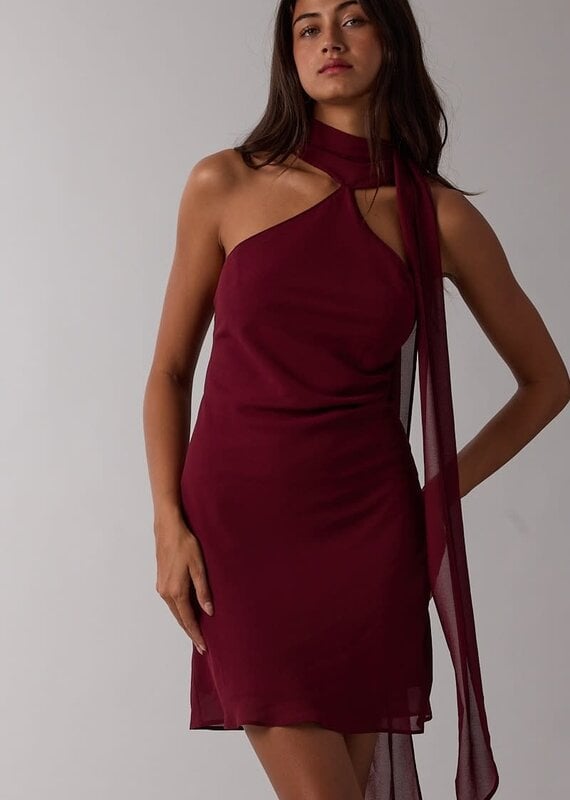 Hollin Scarf Neck Mini Dress