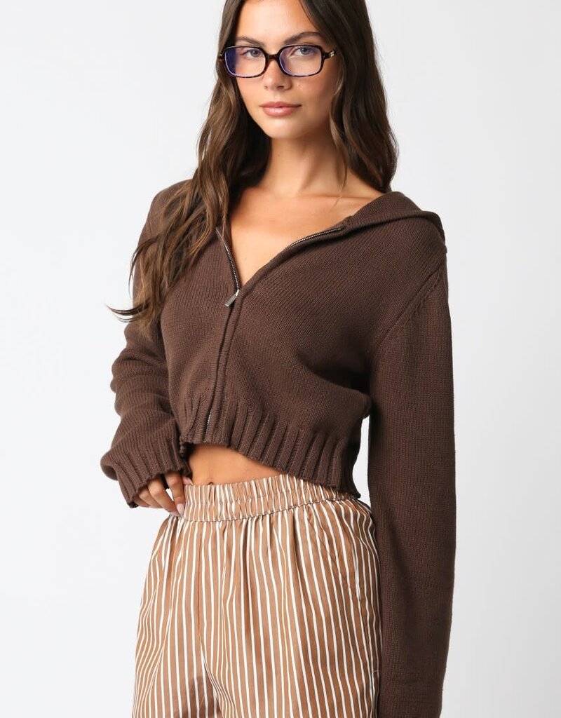 Cailey Knit Zip Up Hoodie