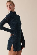 Floral Burnout Mock Neck Long Sleeve Mini Dress