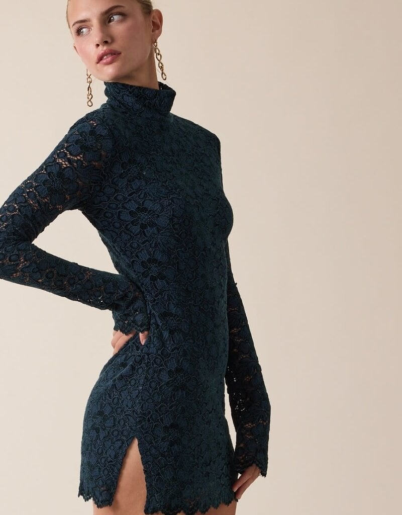 Floral Burnout Mock Neck Long Sleeve Mini Dress