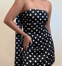 Polka Dot Tube Mini Dress w/Scarf