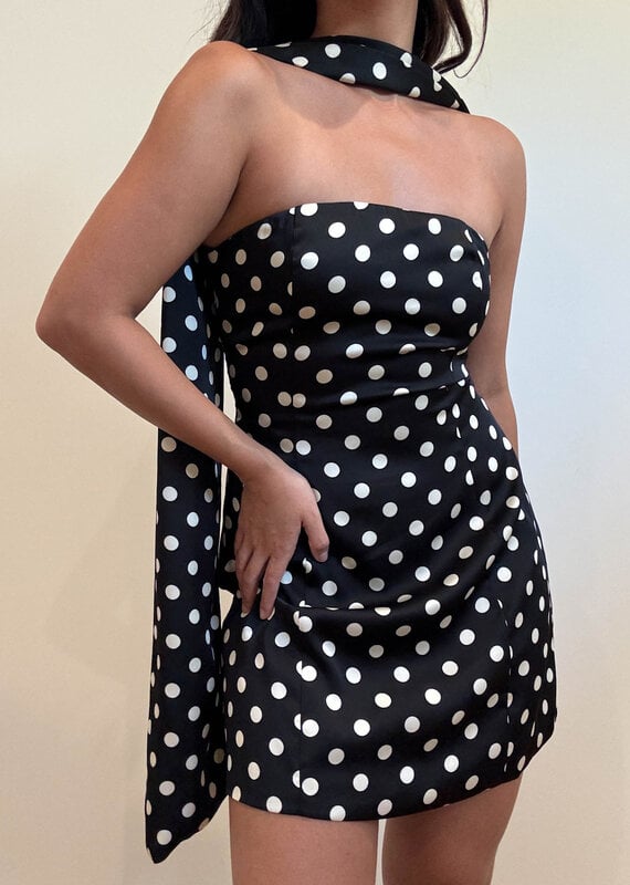 Polka Dot Tube Mini Dress w/Scarf