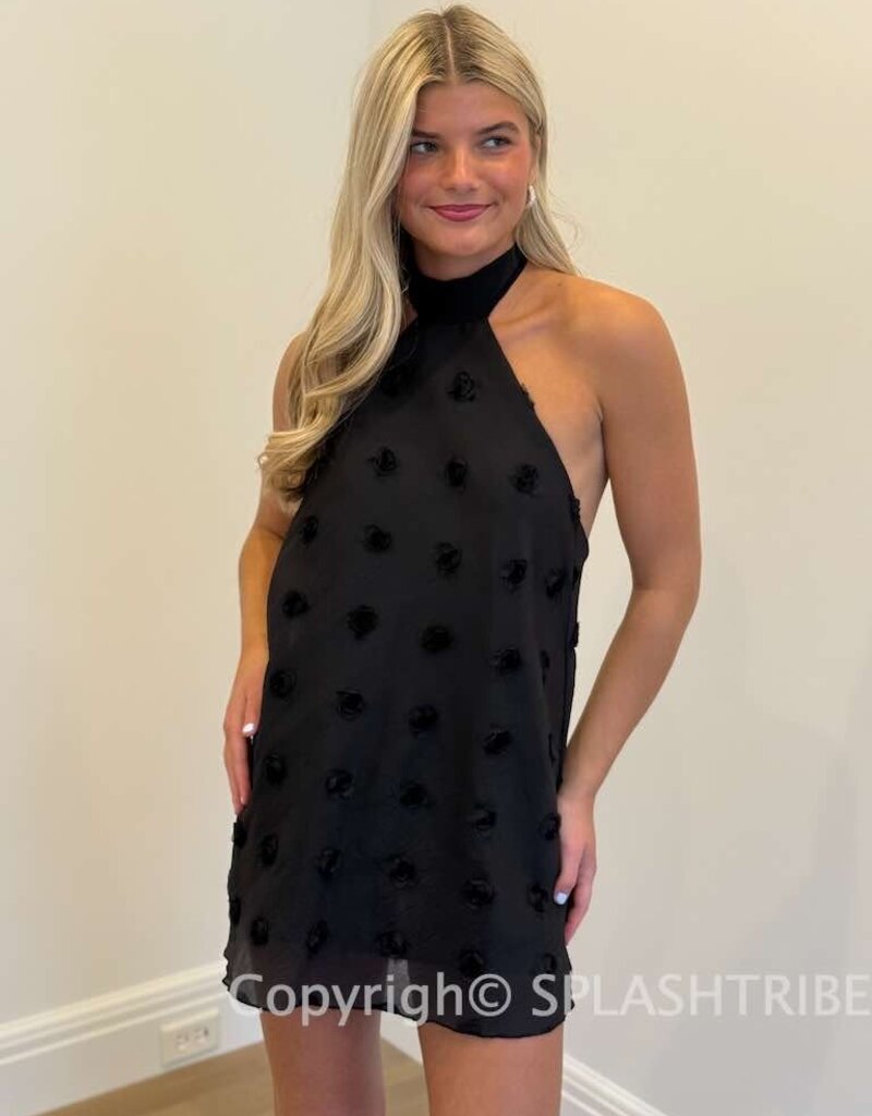 Lucy In The Sky Florette Halter Shift Mini Dress