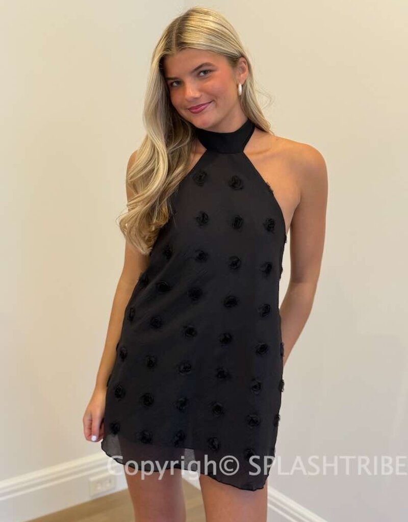 Lucy In The Sky Florette Halter Shift Mini Dress