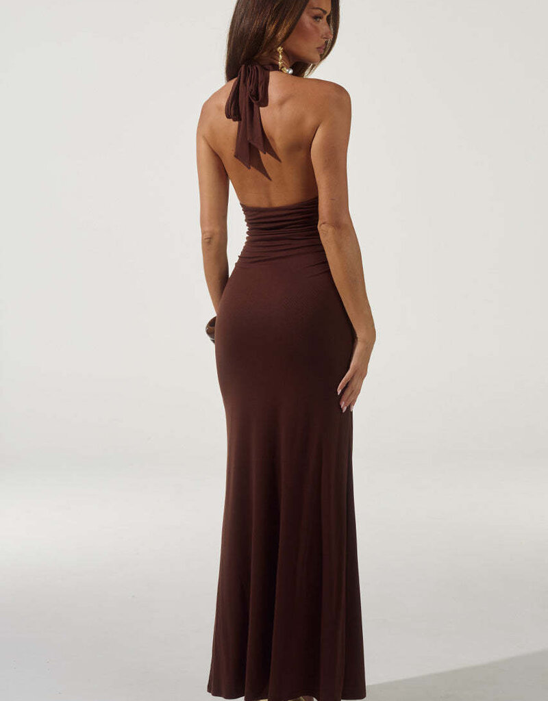 Arina Halter V Neck Maxi Dress