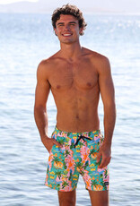 Kulani Kinis Men's Swim Trunks